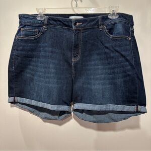 Lane Bryant Indigo Jean Shorts